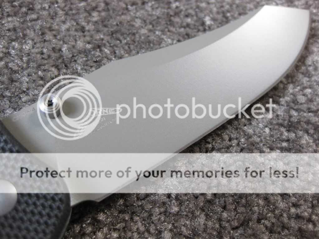 BM810ContegoBladeBack.jpg