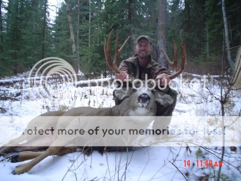 deer04.jpg