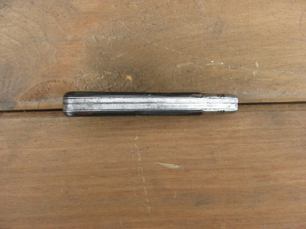 Swayback025.jpg