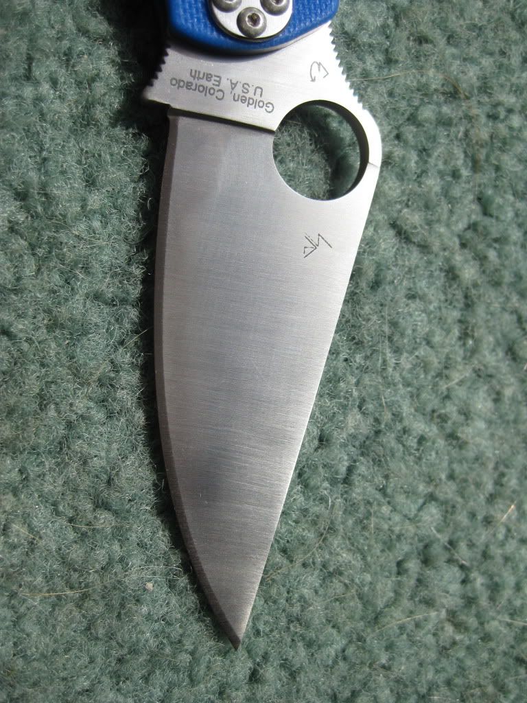 Picture903.jpg