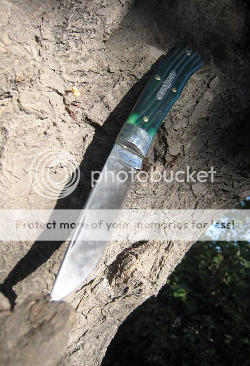 73scoutpatina1.jpg