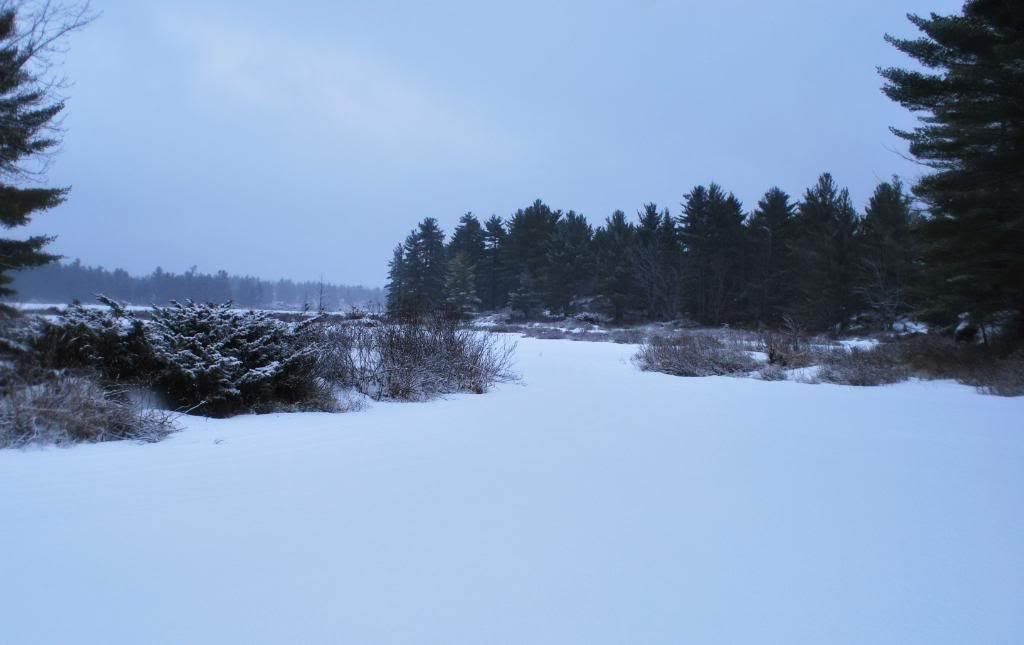 DSC_0067-5.jpg