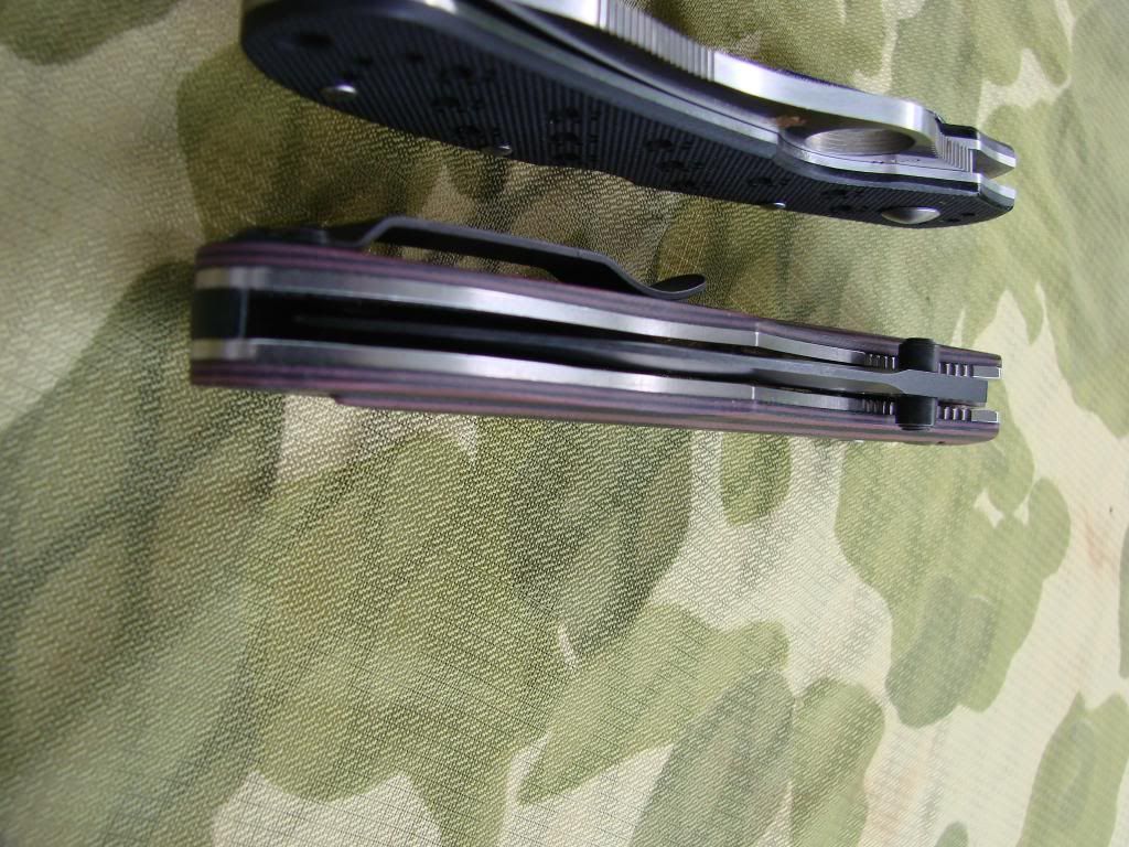 BM730andSpydercoOcelot006.jpg