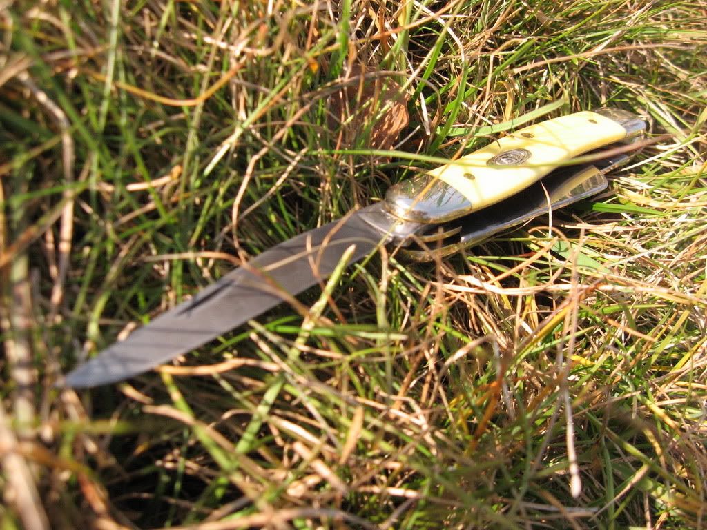 IMG_7197.jpg