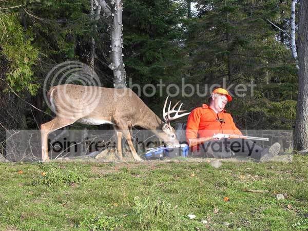 funny-deer-picture-sleeping-hunter-.jpg