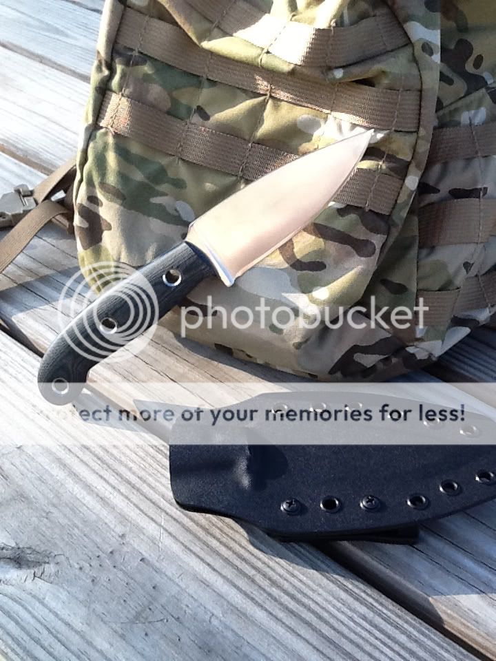 84f2231e.jpg