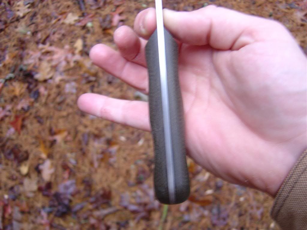 12-1-08063.jpg