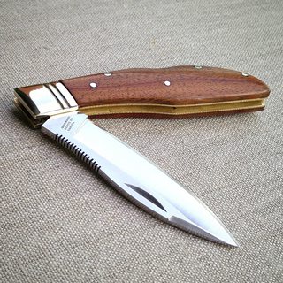 yqPOa8Im.jpg