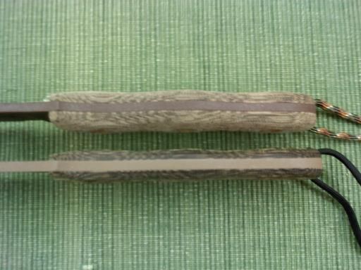 downsized_1129122056a.jpg