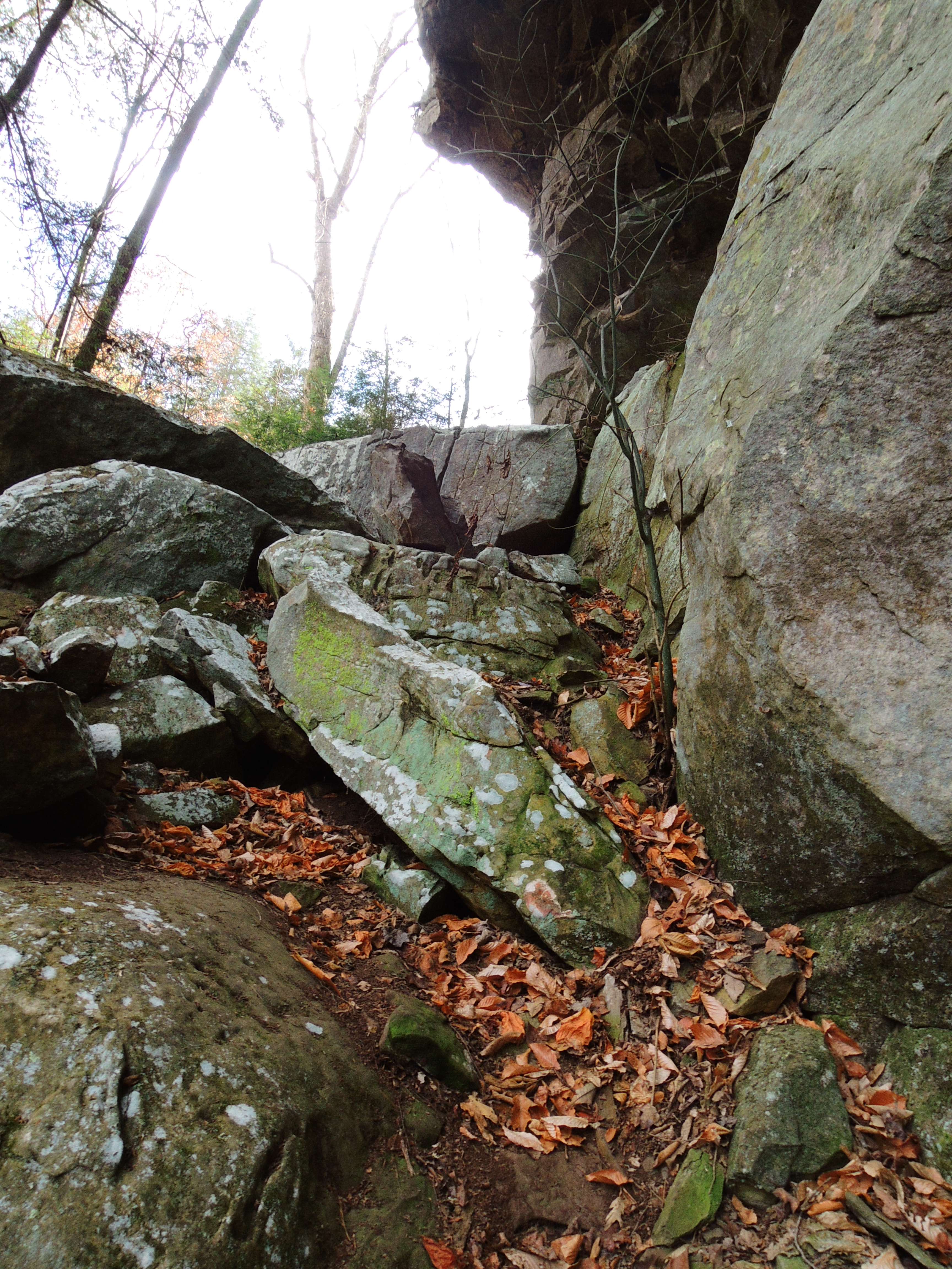 dscn4903b.jpg