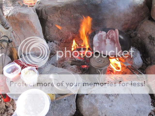 IMG_0483.jpg