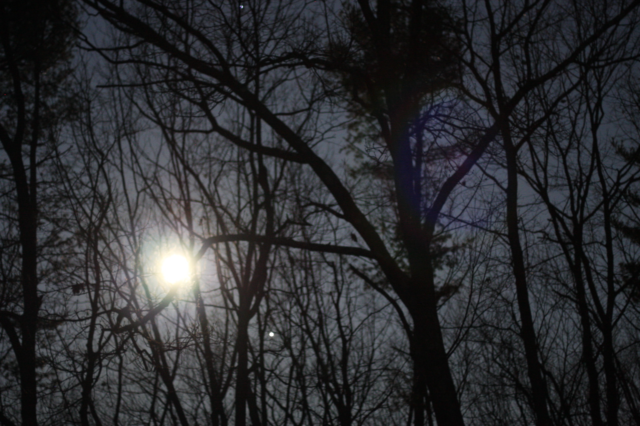 IMG_9739-X2.jpg