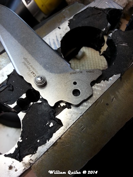 20140808_074157.jpg