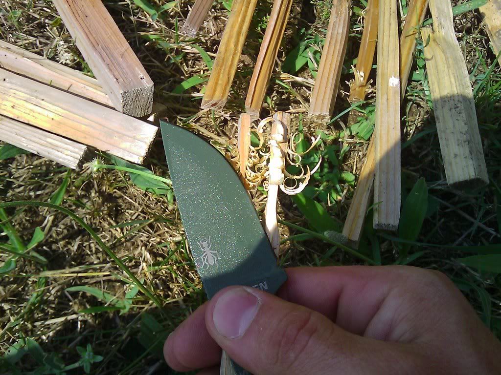 IMAG0141.jpg