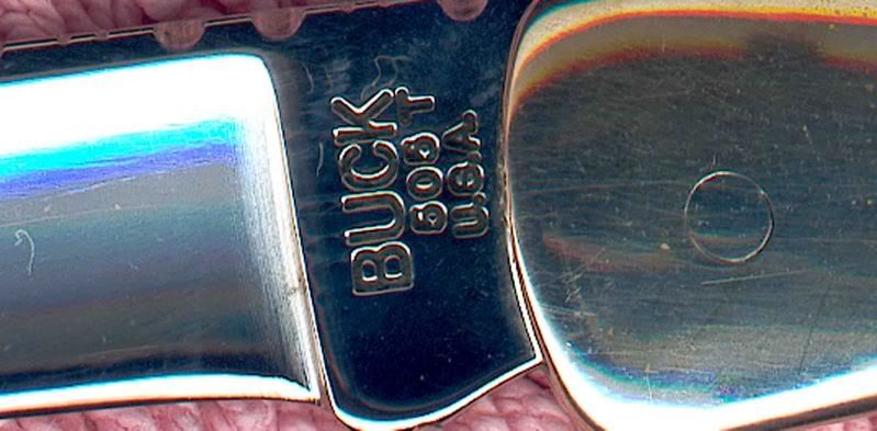 Buck505PearlAusschnKlinge.jpg