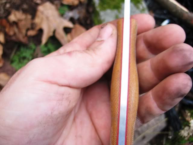 fallhike045.jpg