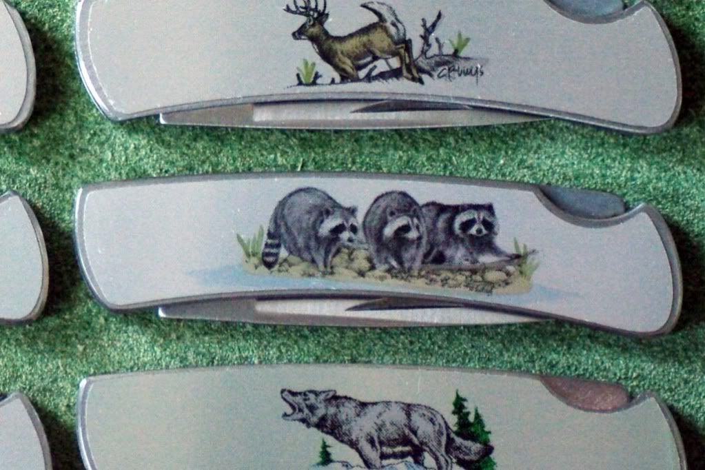 Buck525Racoons.jpg