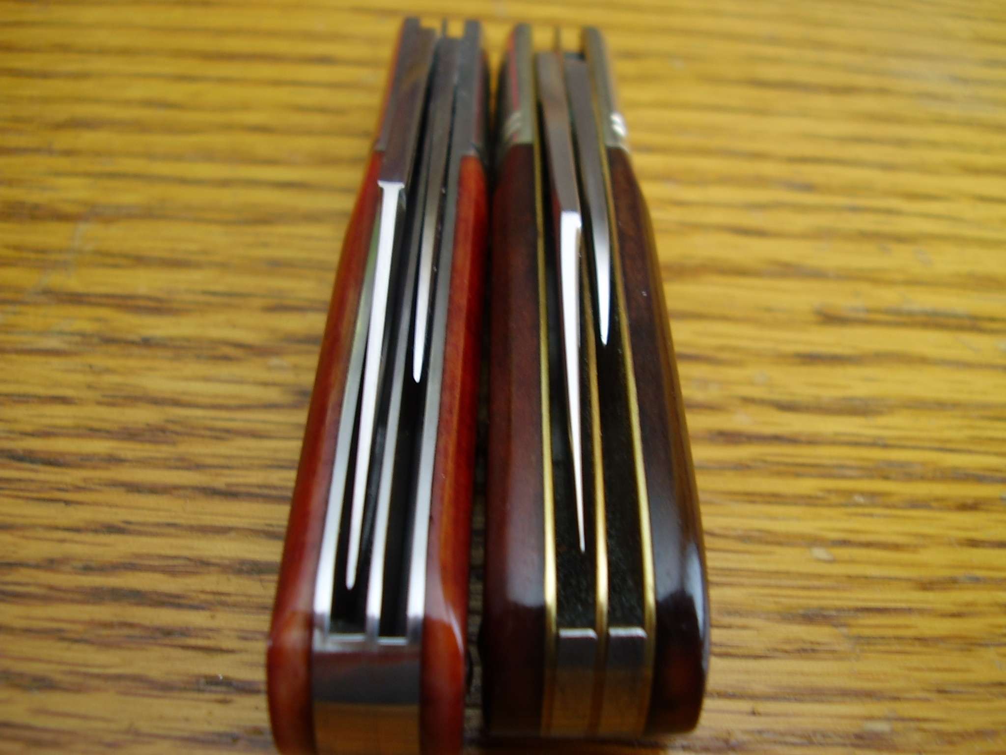p3150009f.jpg