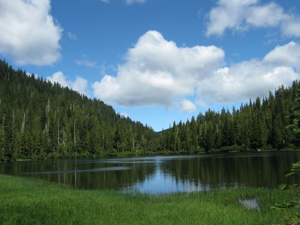 deerlake3.jpg