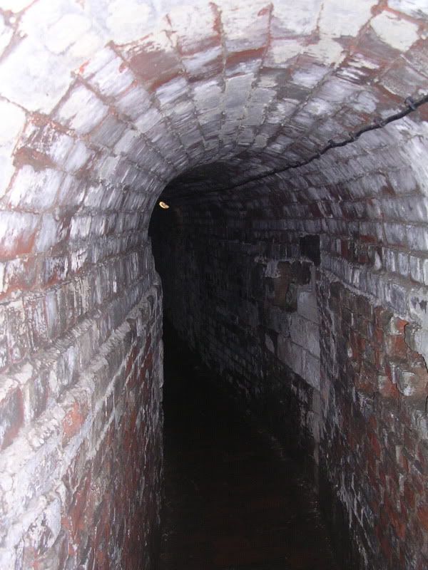 DSCN2821.jpg