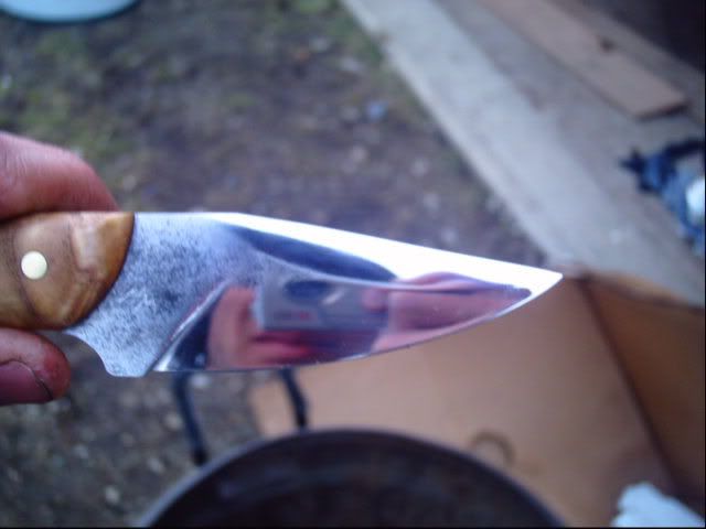ash064.jpg