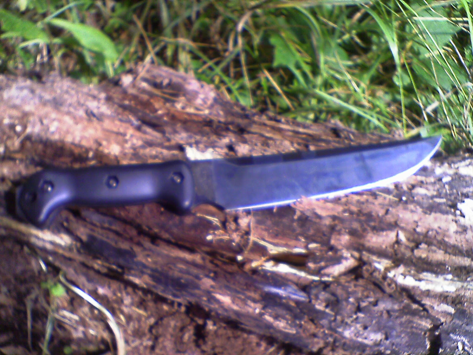 IMAG0111.JPG
