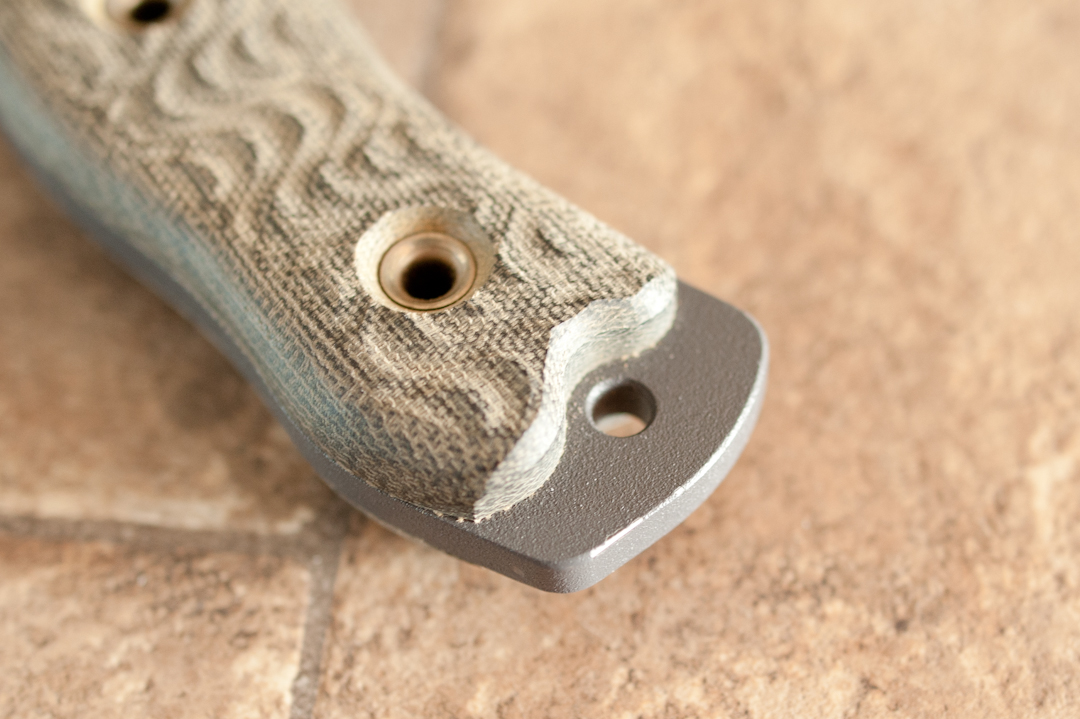 Busse-4.jpg