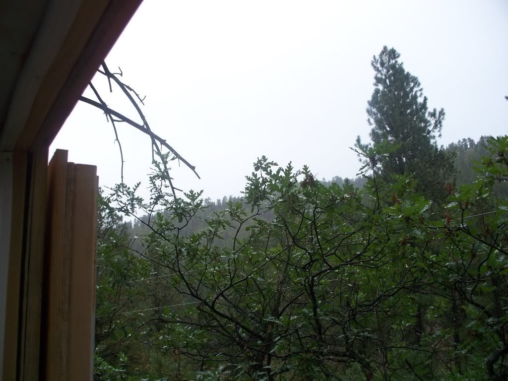 005-14.jpg