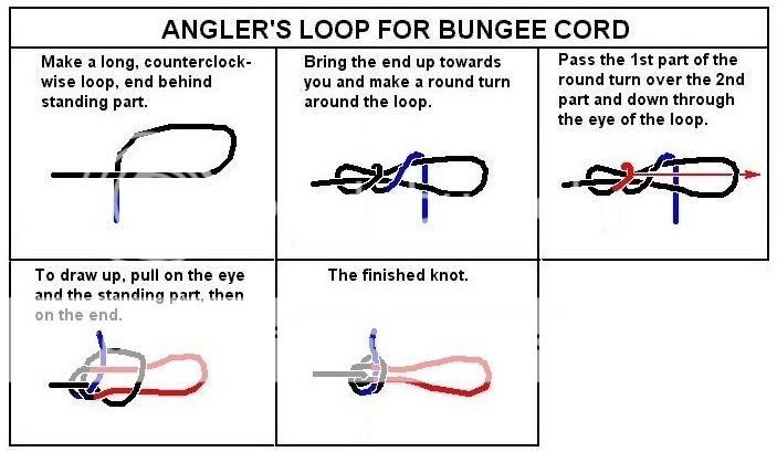 BungeeLoop-1.jpg