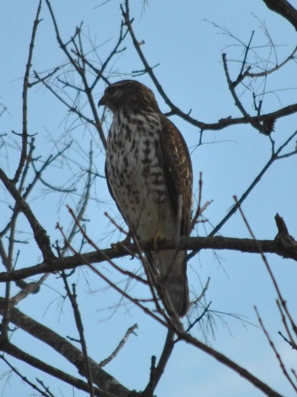 DSC_8335.jpg