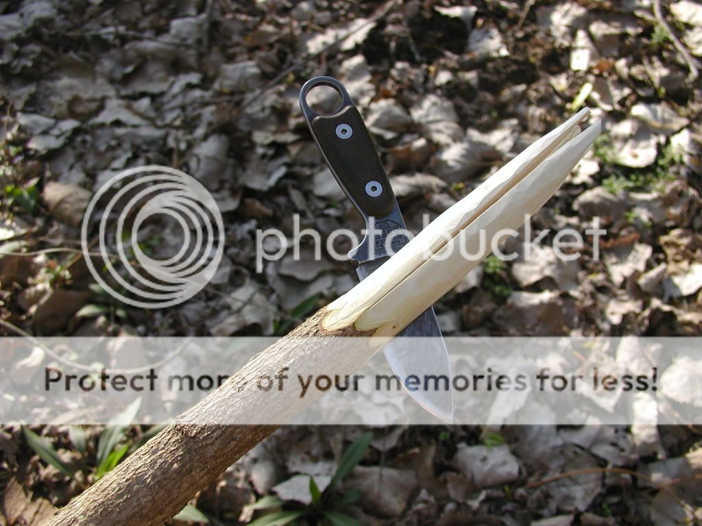 FishSpear2.jpg