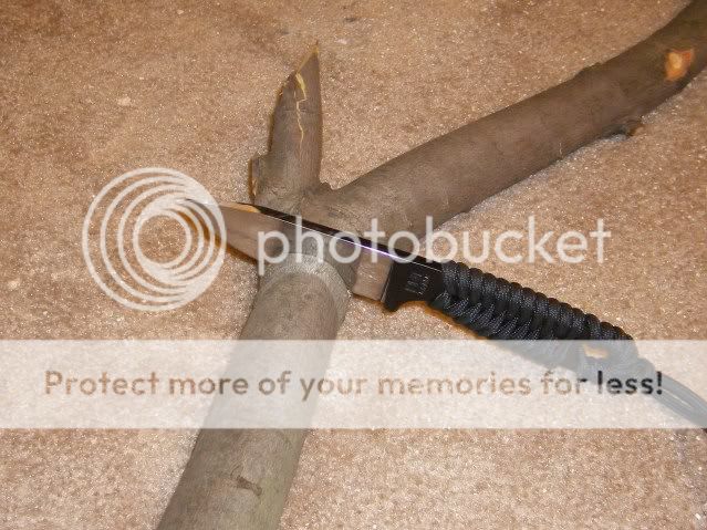 forksheath001.jpg