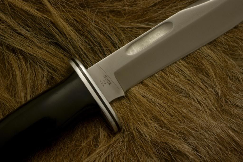 Buck119aus1981_3.jpg