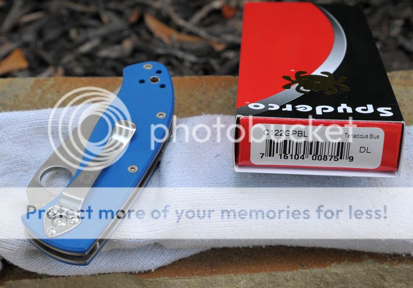 DSC_2242b_zpswlsrrs7a.jpg