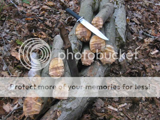 Choppingvids095-1.jpg