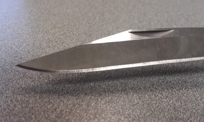 IMAG0155_zps2f377113.jpg