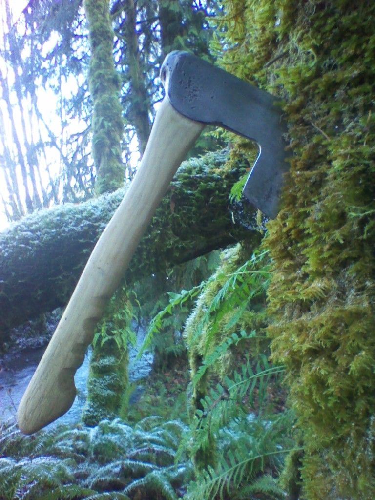 IMG_20120115_133154.jpg
