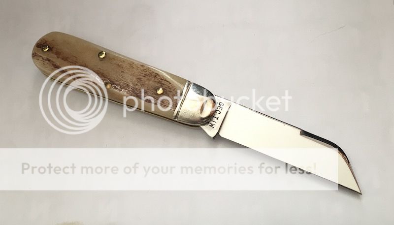 IMG_6376.jpg~original