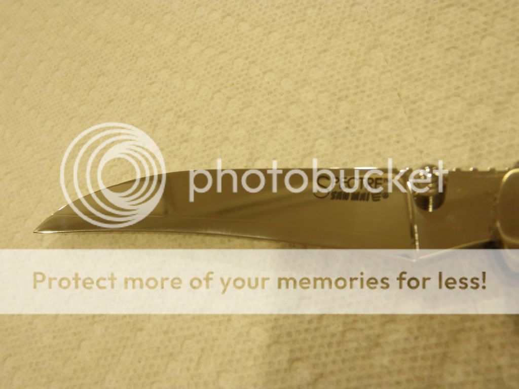 P1050235-2.jpg
