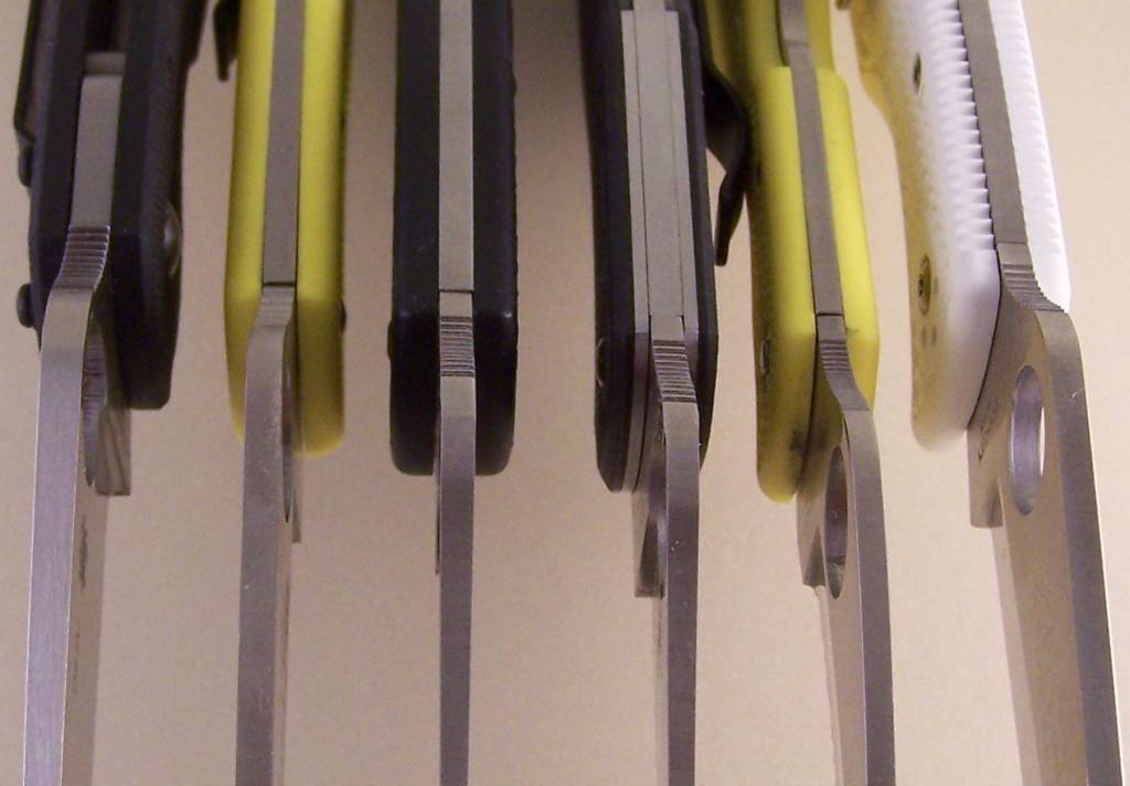 spine_shot_002.jpg