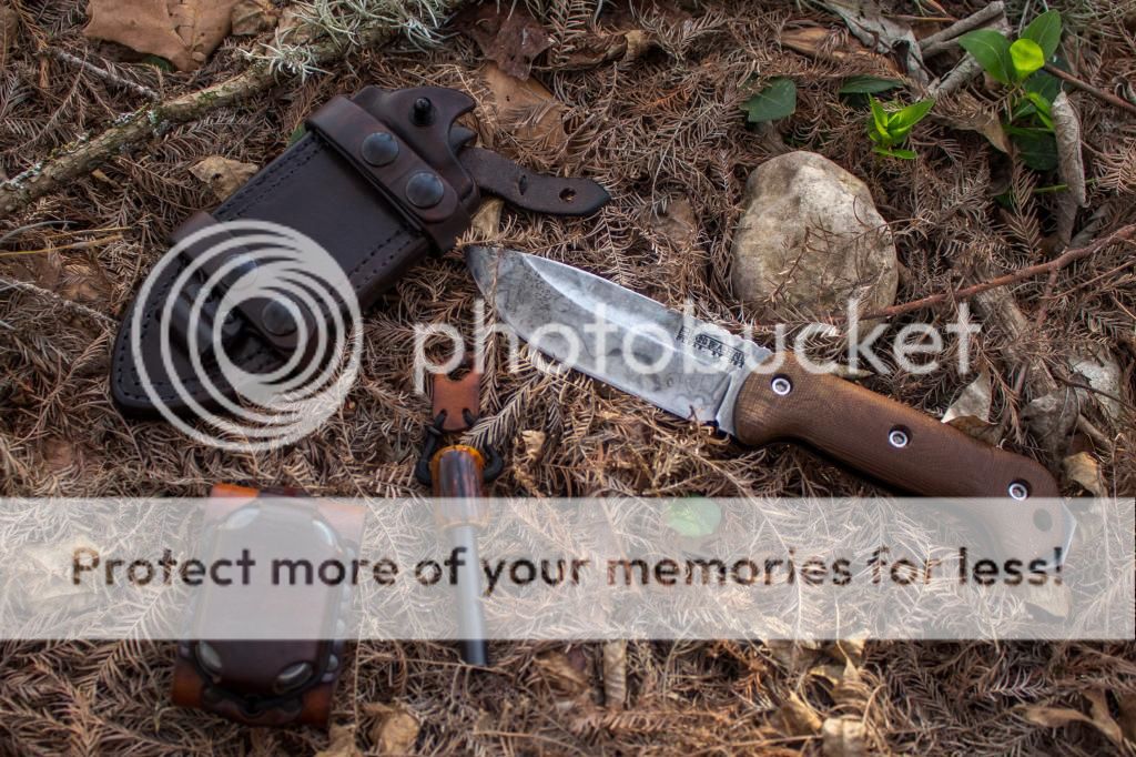 IMG_0395_zps6eea2f55.jpg~original