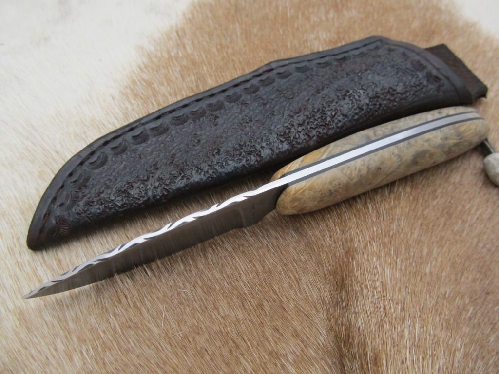 BoxElderedc-hunter003.jpg