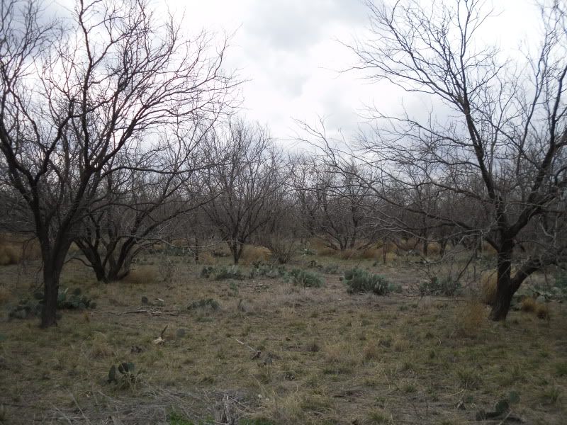 SDC13099.jpg