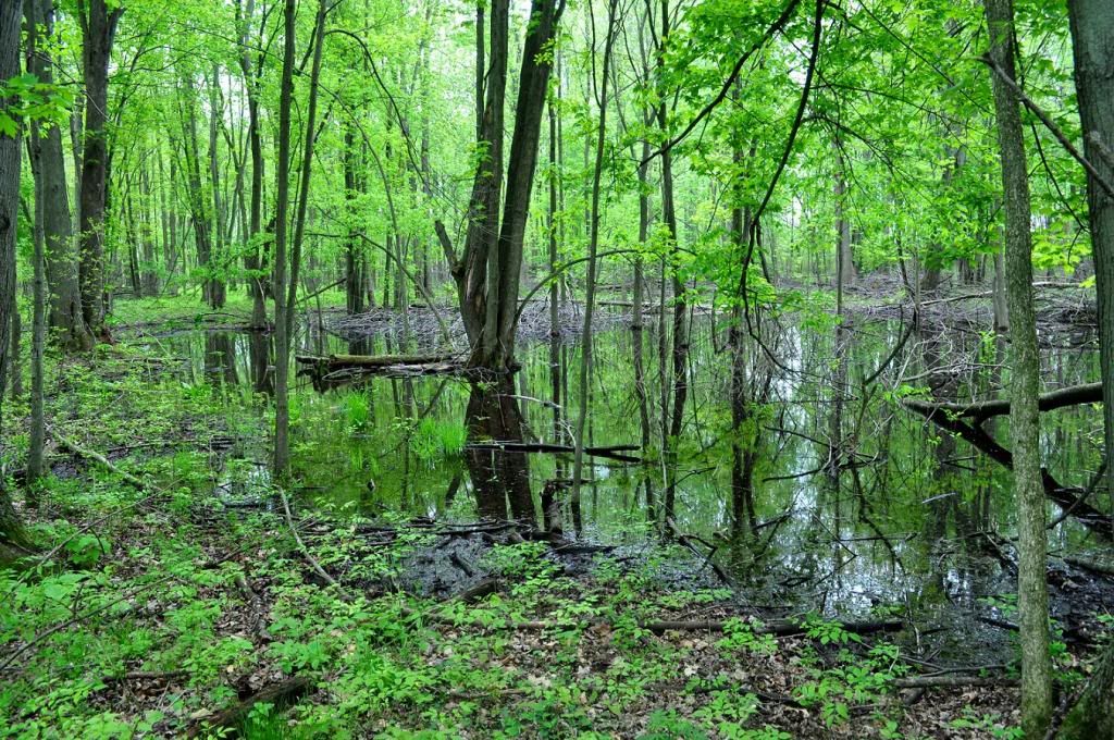 DSC_0401.jpg
