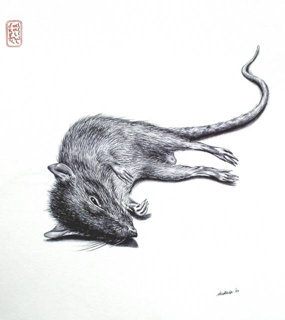 32.%20Dead%20Rat.jpg