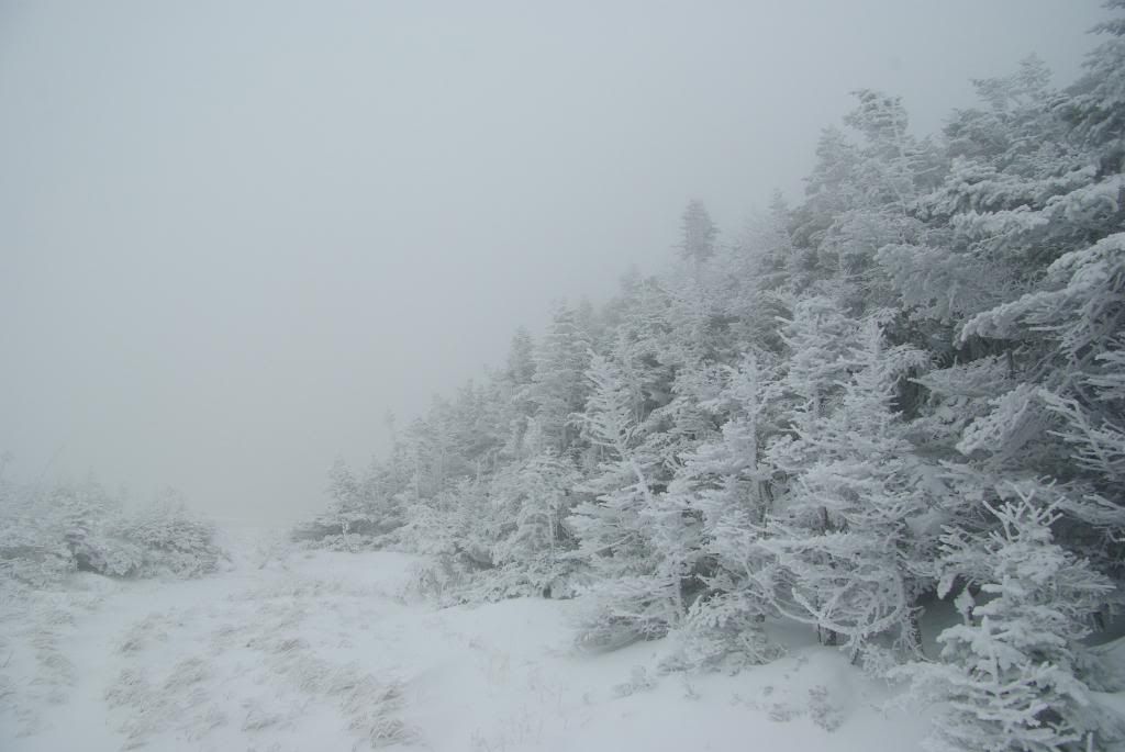MtLafayette130.jpg