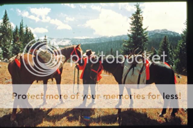 ElkHunt-42.jpg