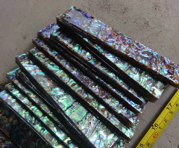 abalone1_zps288db8bb.jpg