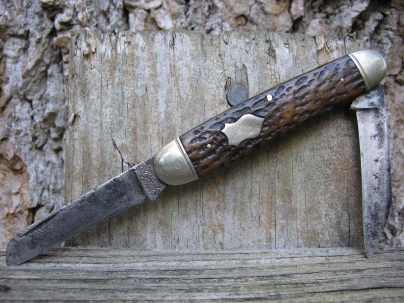 CamillusEENov8a.jpg