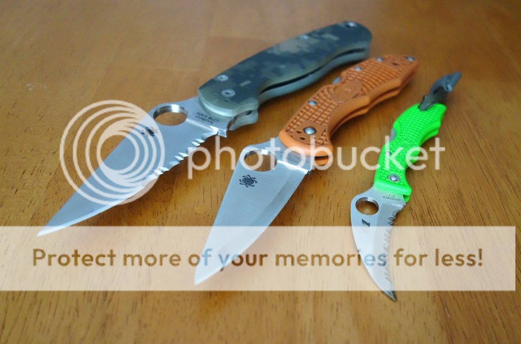DSC02043_zps3kkz9fpp.jpg